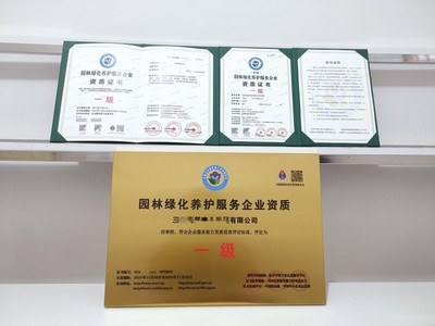 一站式商務服務 上海市營業(yè)執(zhí)照與代碼證代辦、代理記賬及商務代理