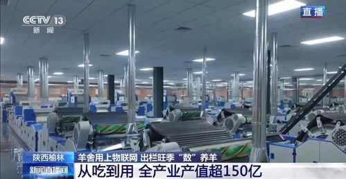 物聯(lián)網(wǎng)與人工智能賦能智慧羊舍 技術革新驅(qū)動養(yǎng)羊業(yè)出欄旺季高效增長